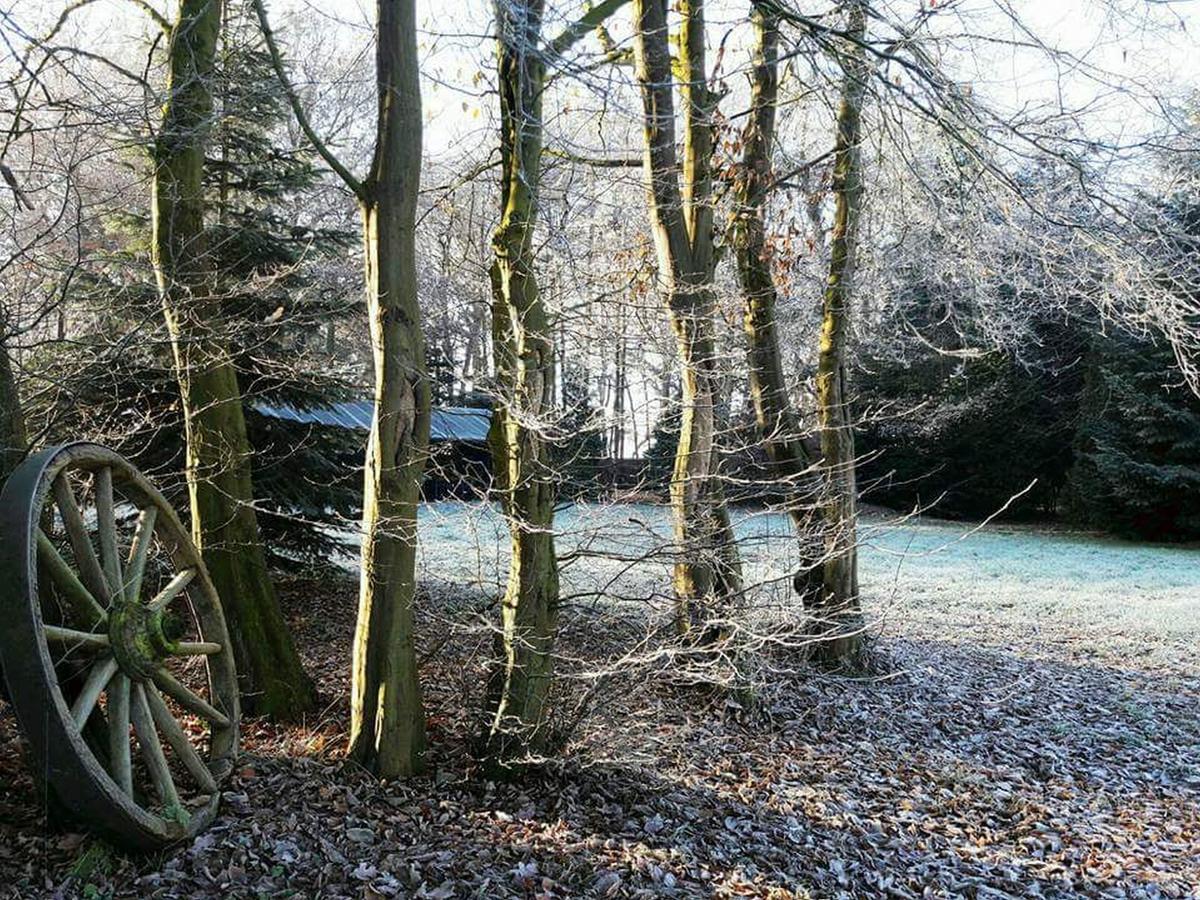 Zur Schanze Holtgast-Apen Esterno foto